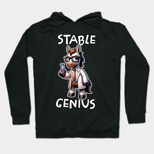 Stable Genius / Funny Donald J. Trump Quote / USA Politics Hoodie